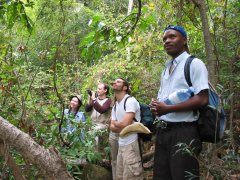 Trekking in Isalo Mountains in Madagascar / Spotting for lemurs, especially Kattas